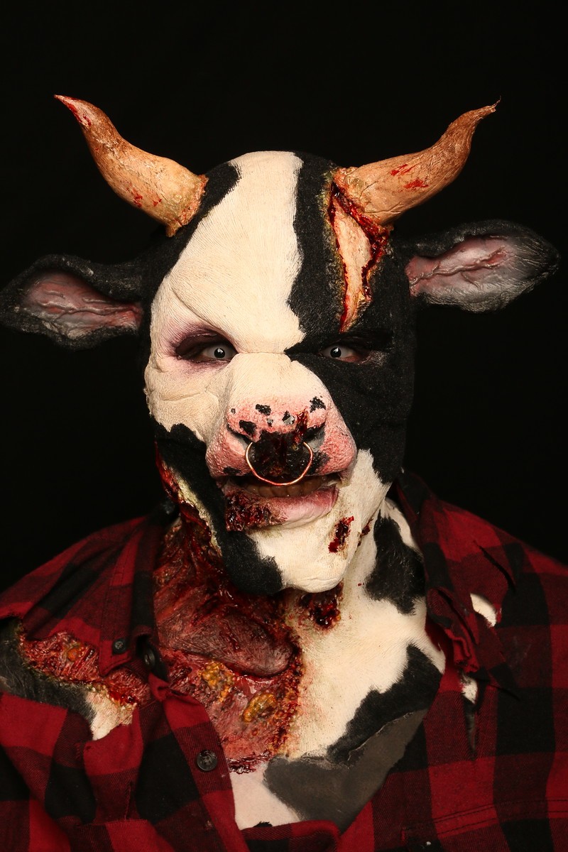 Portfolio image 7