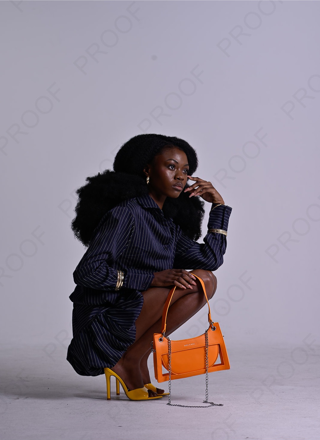 Portfolio image 5