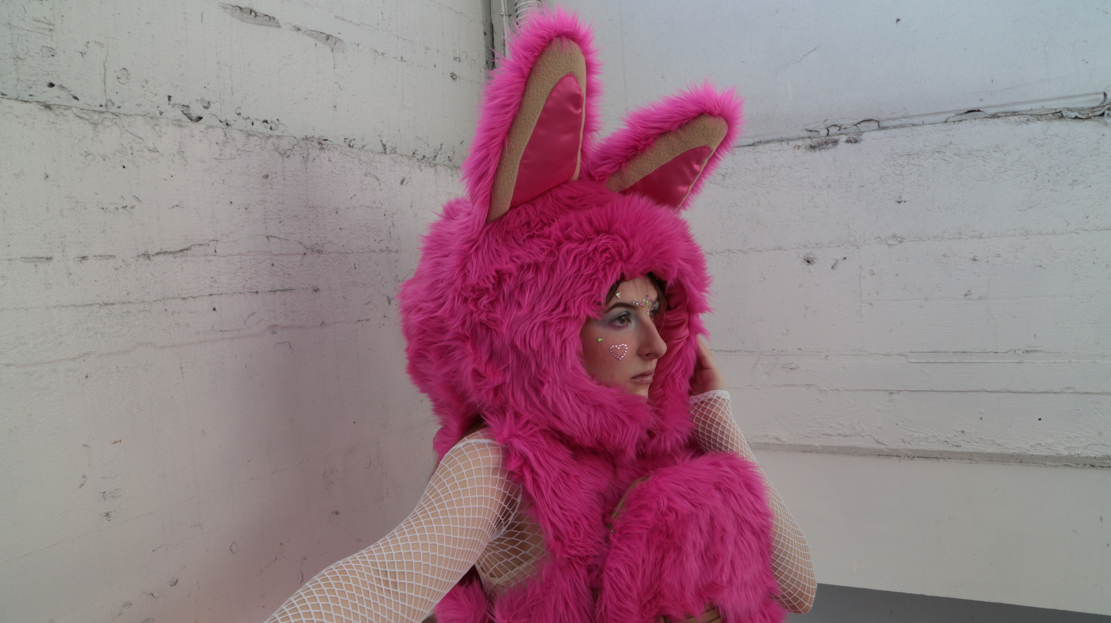 Portfolio image 4
