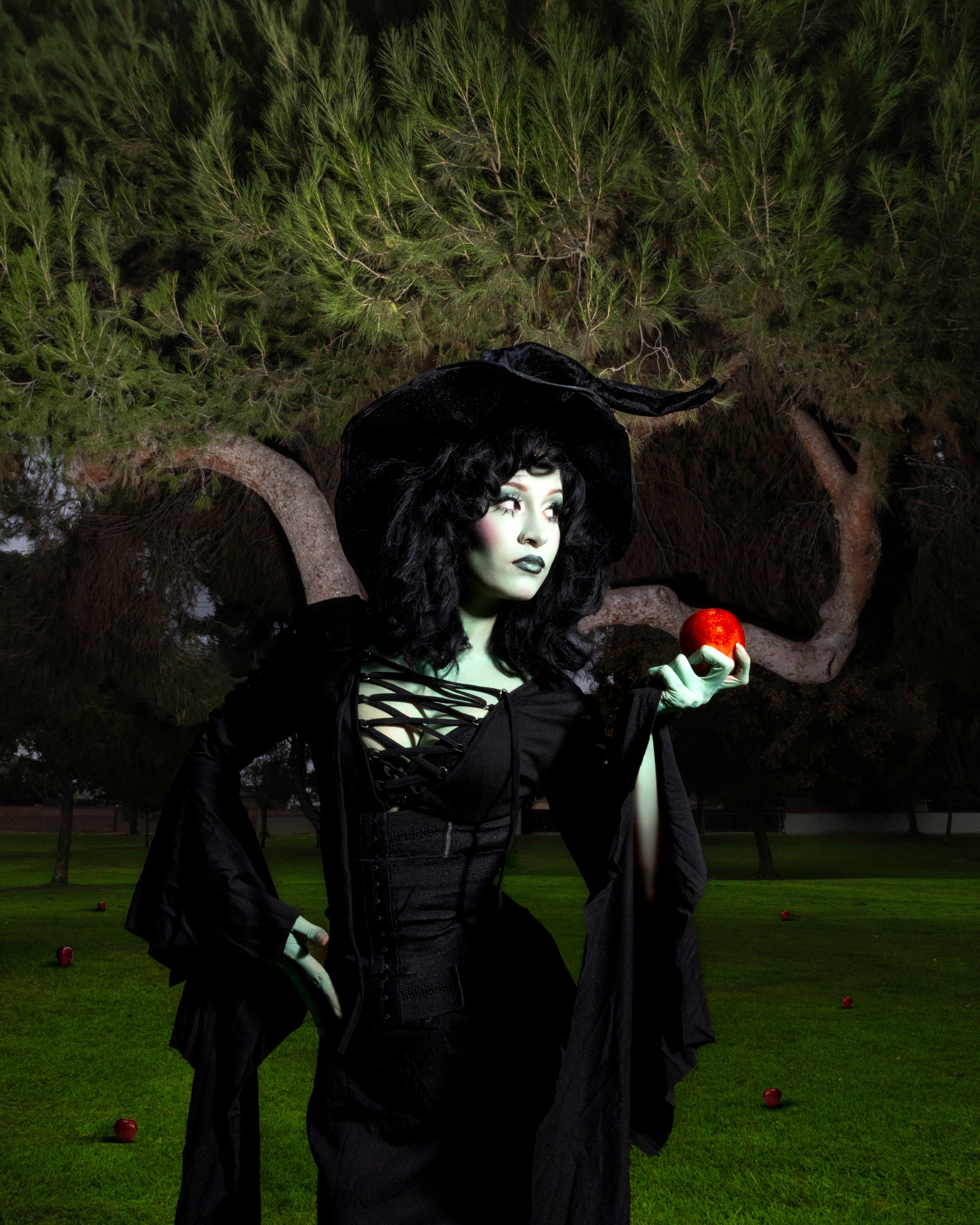 Portfolio image 8