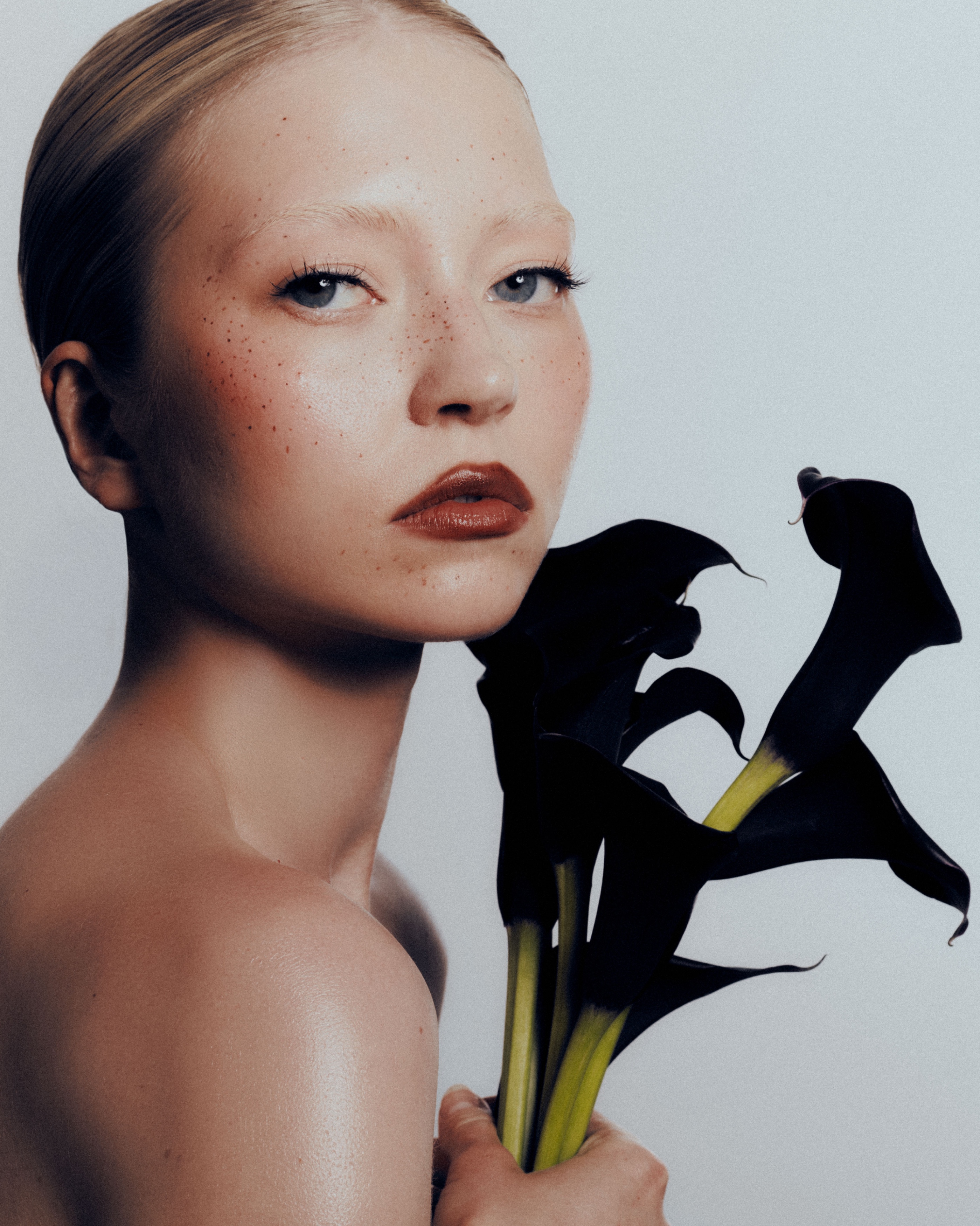 Portfolio image 3