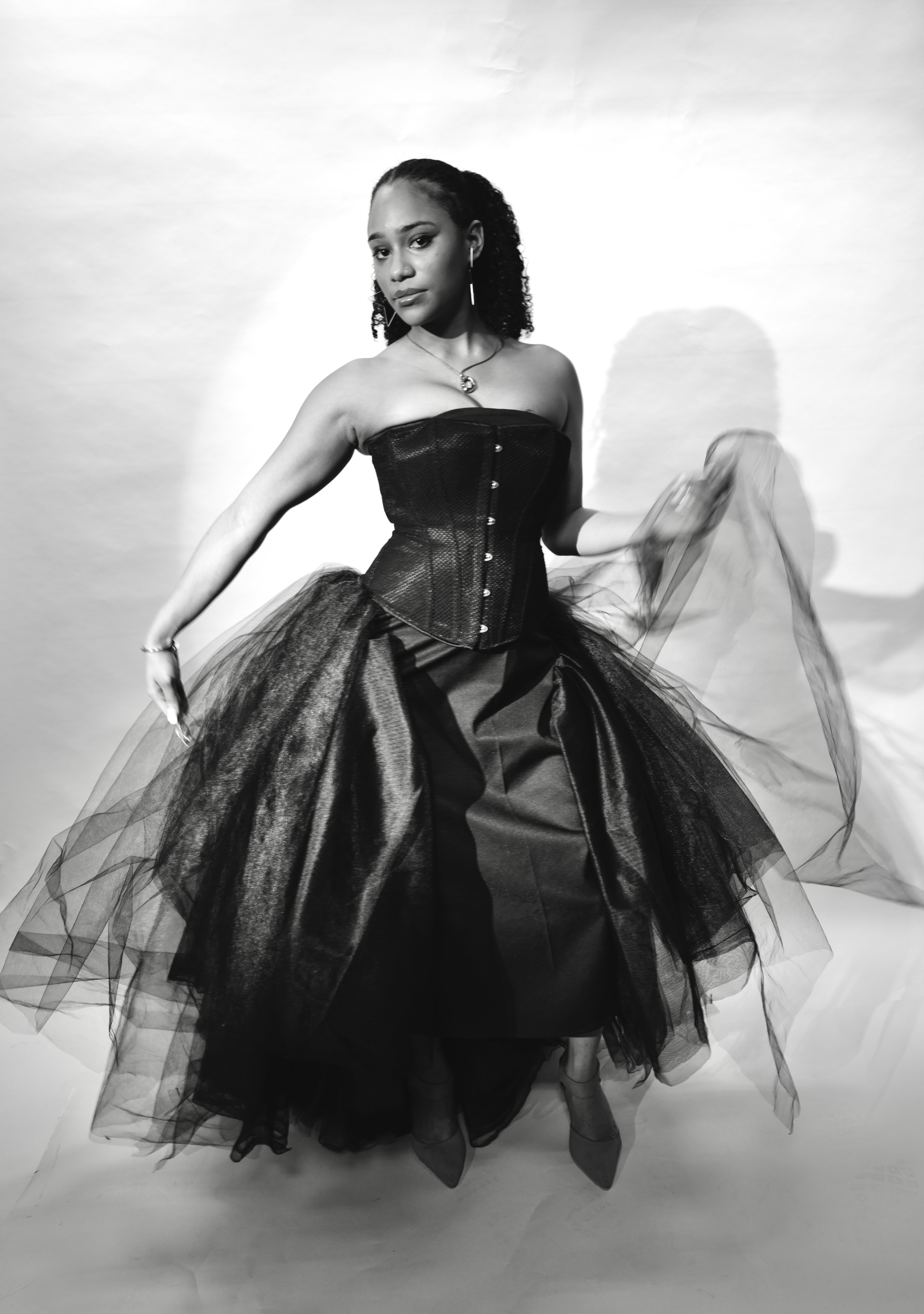 Portfolio image 2