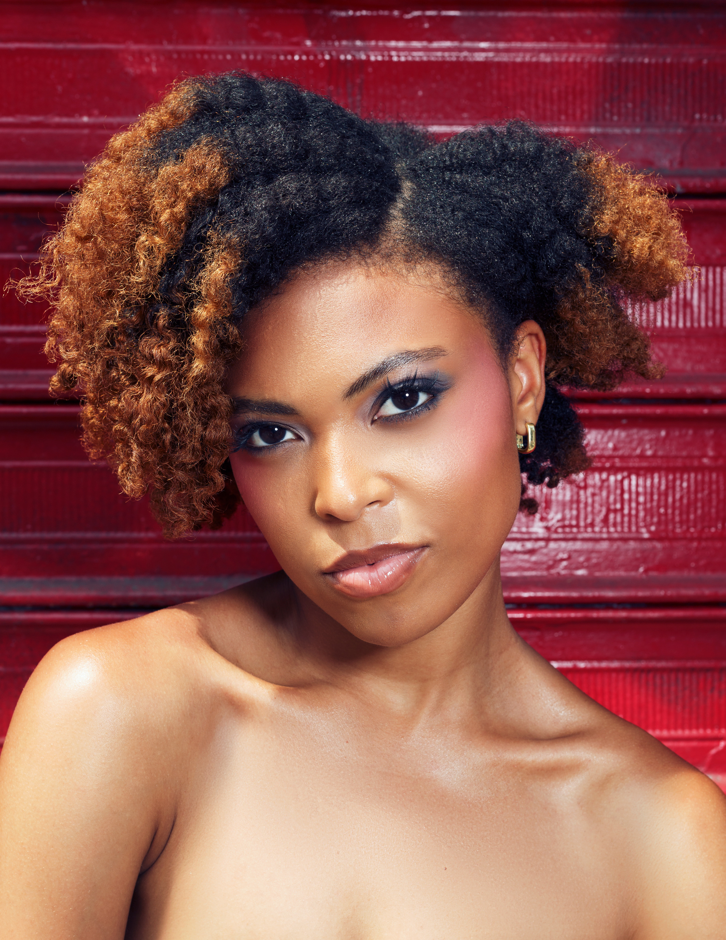 Portfolio image 2