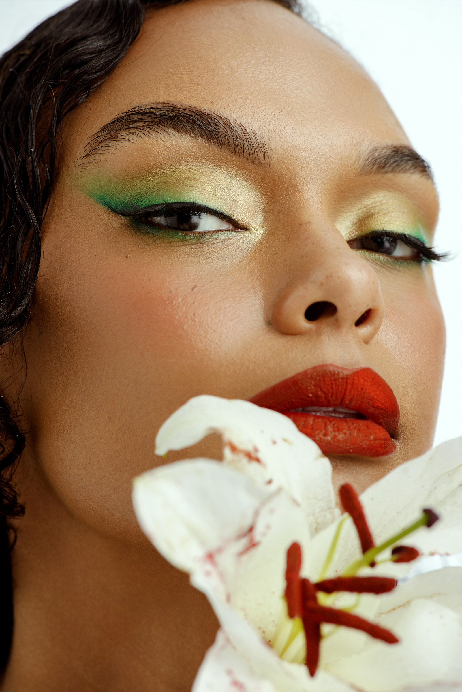 Portfolio image 6