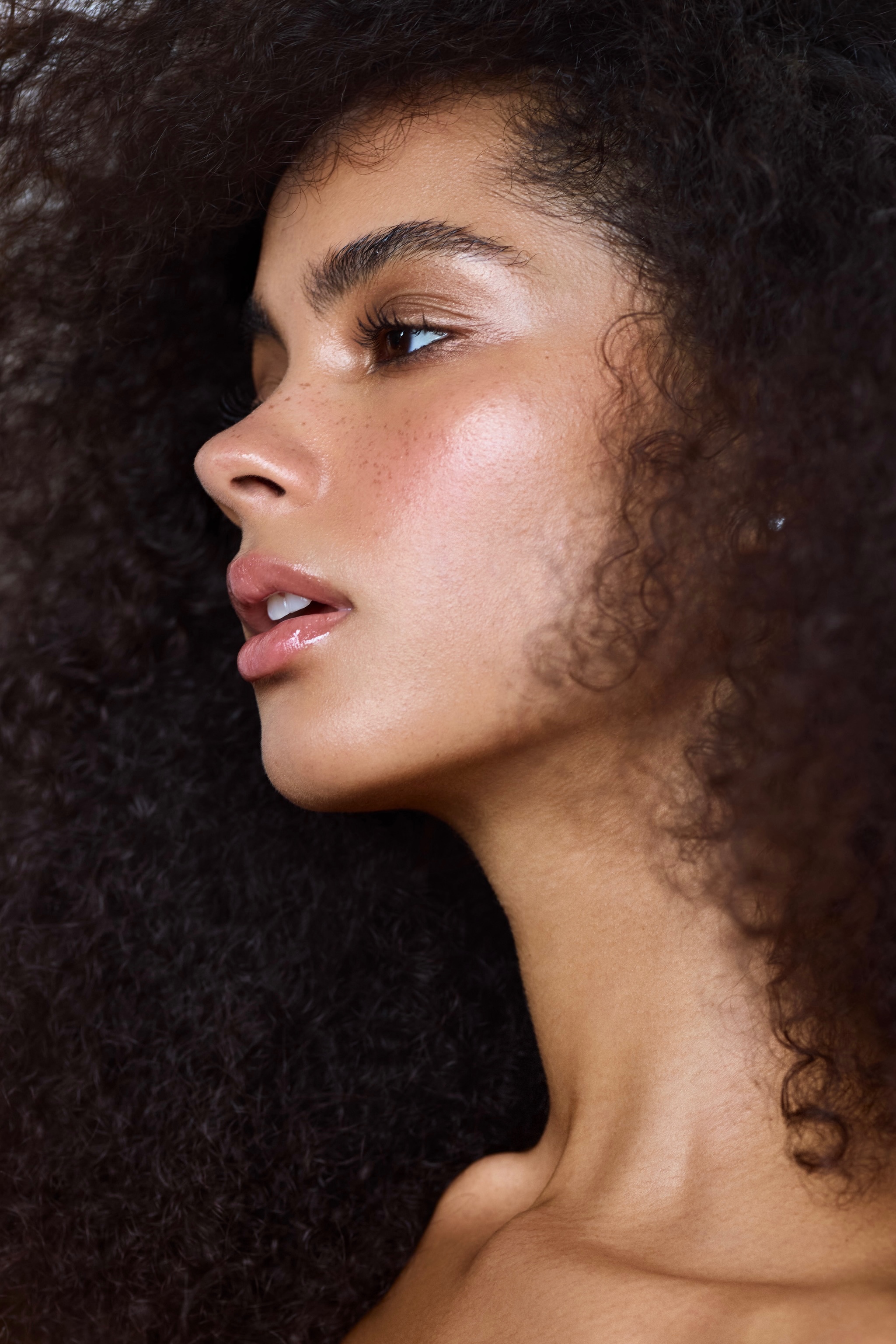 Portfolio image 1