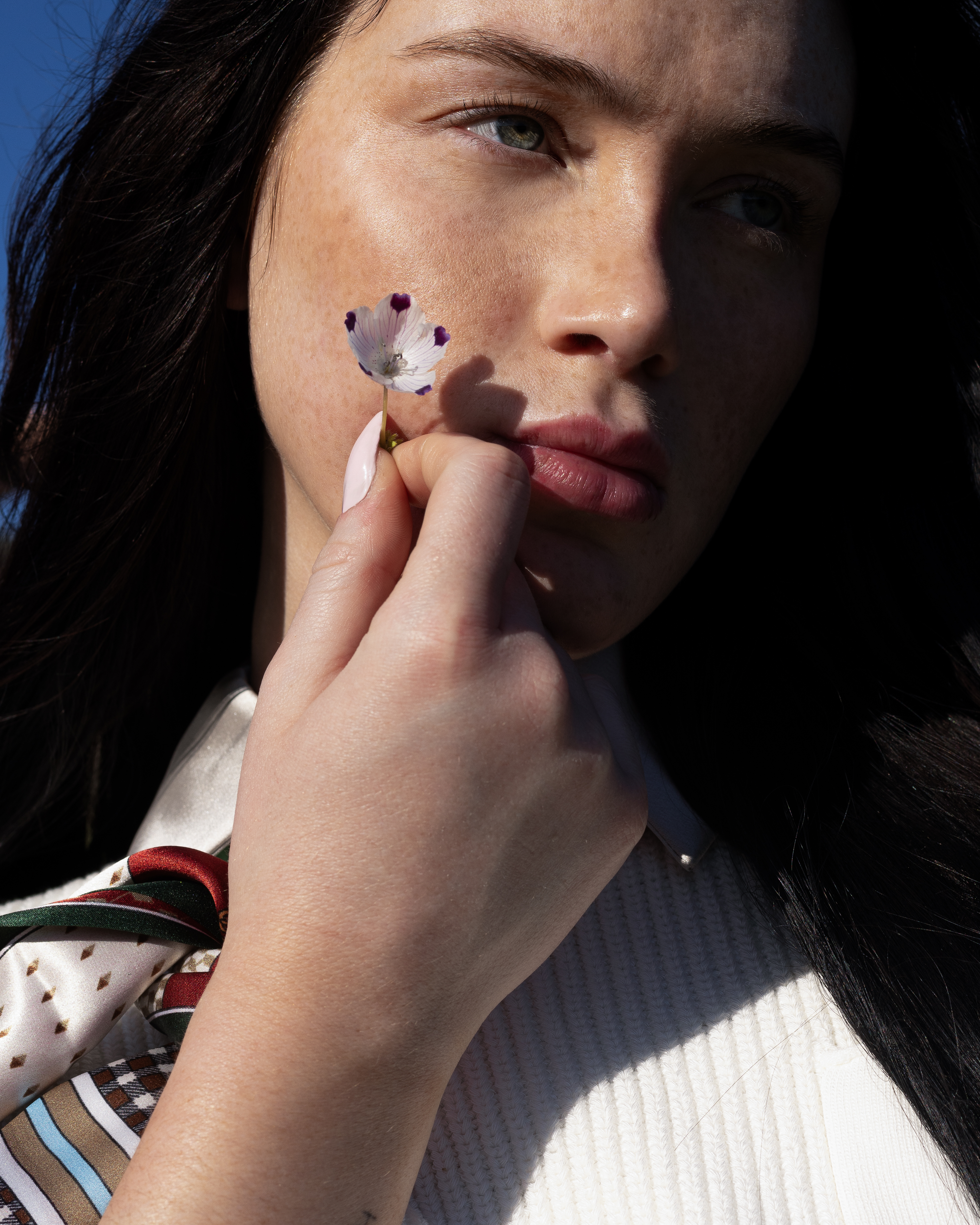 Portfolio image 5