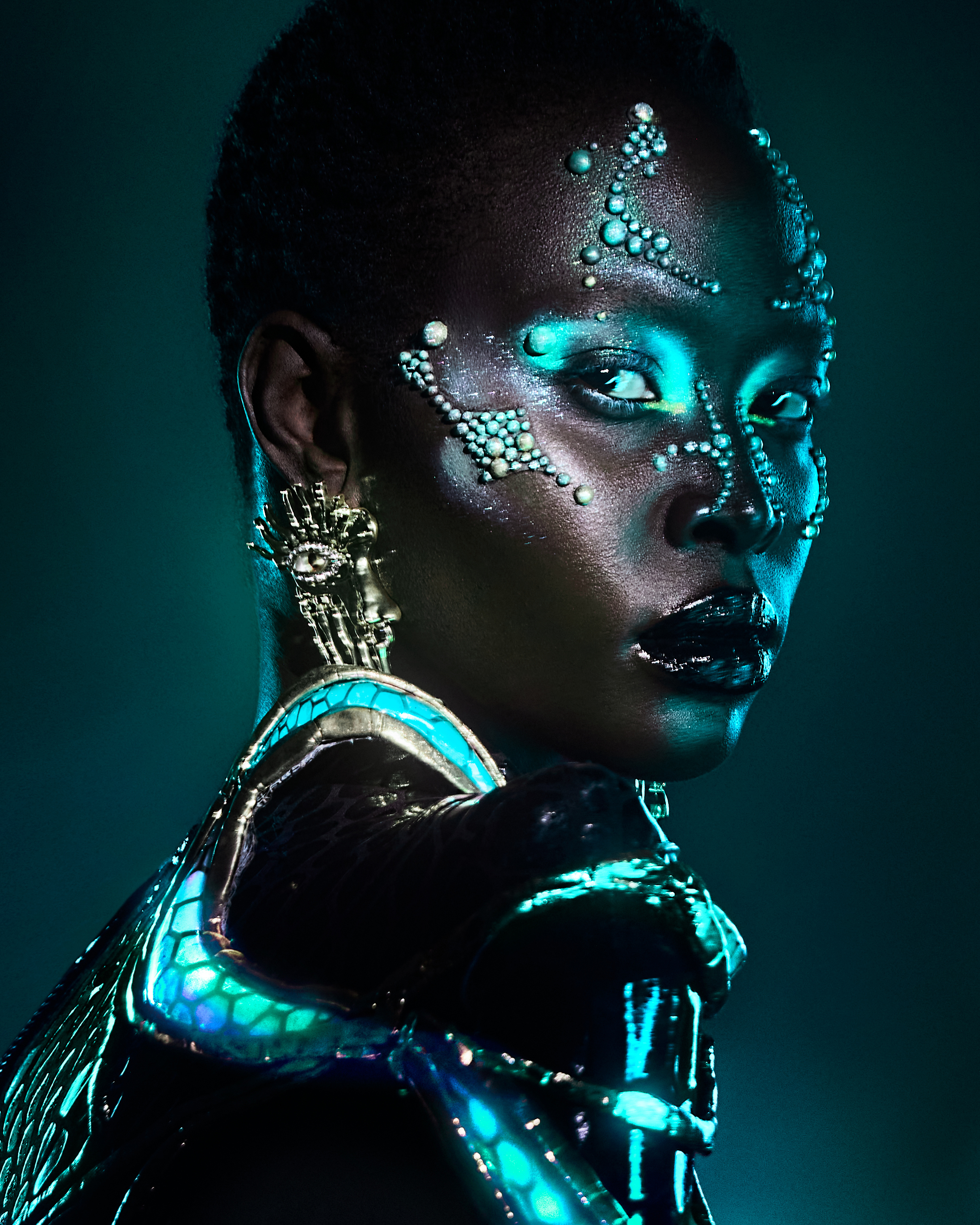 Portfolio image 7