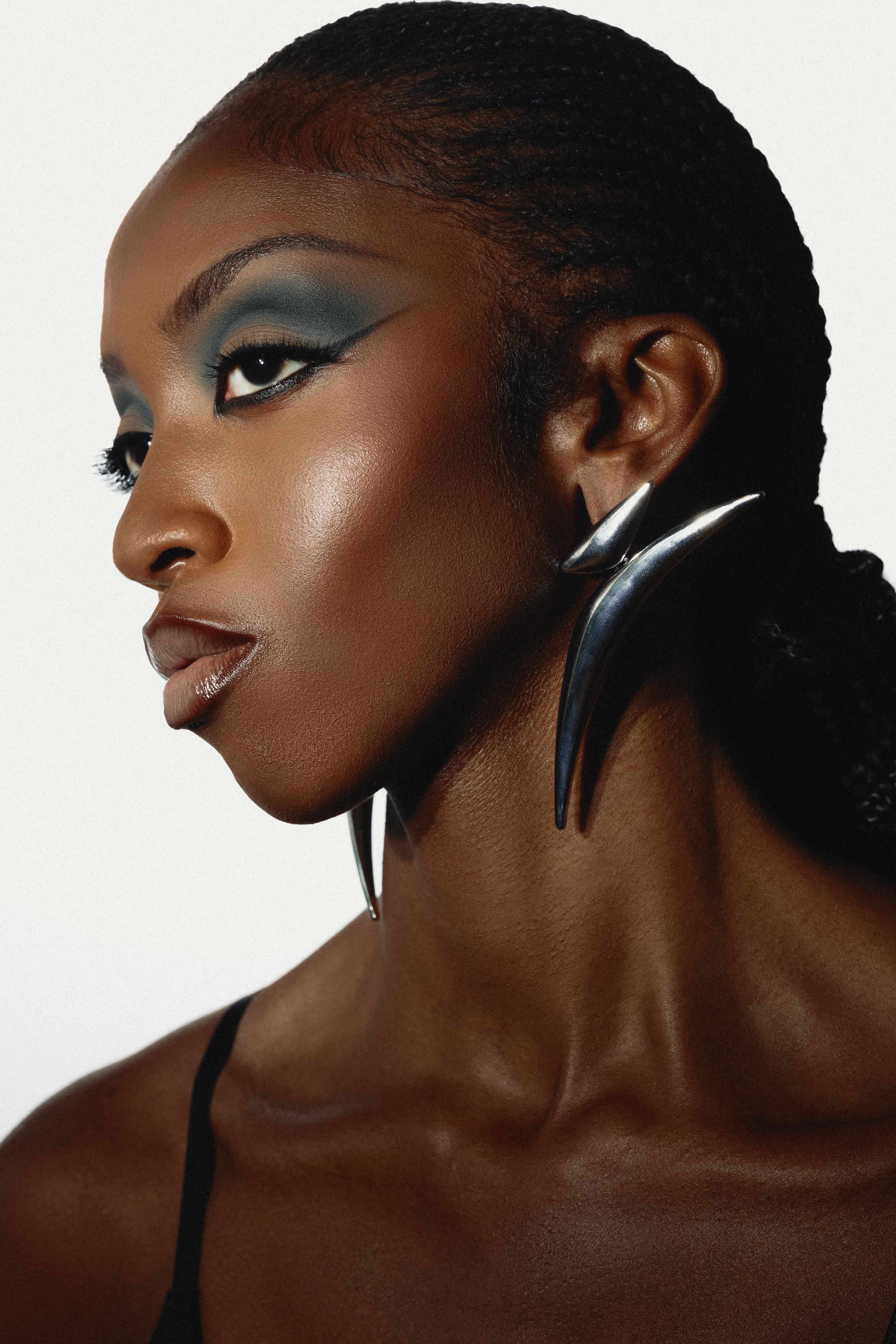 Portfolio image 5